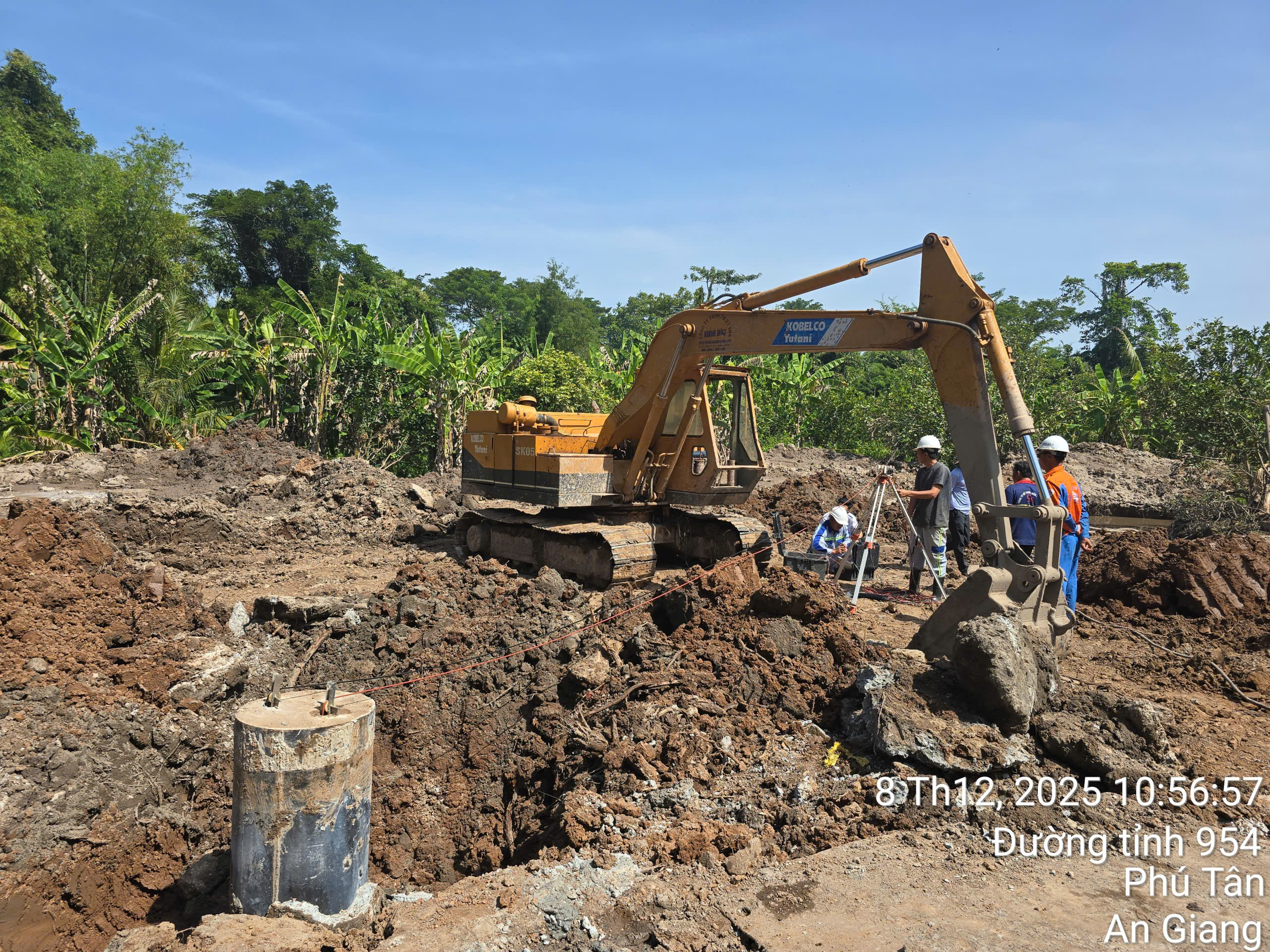 Trang trại bò sữa Vinamilk Quảng Ngãi