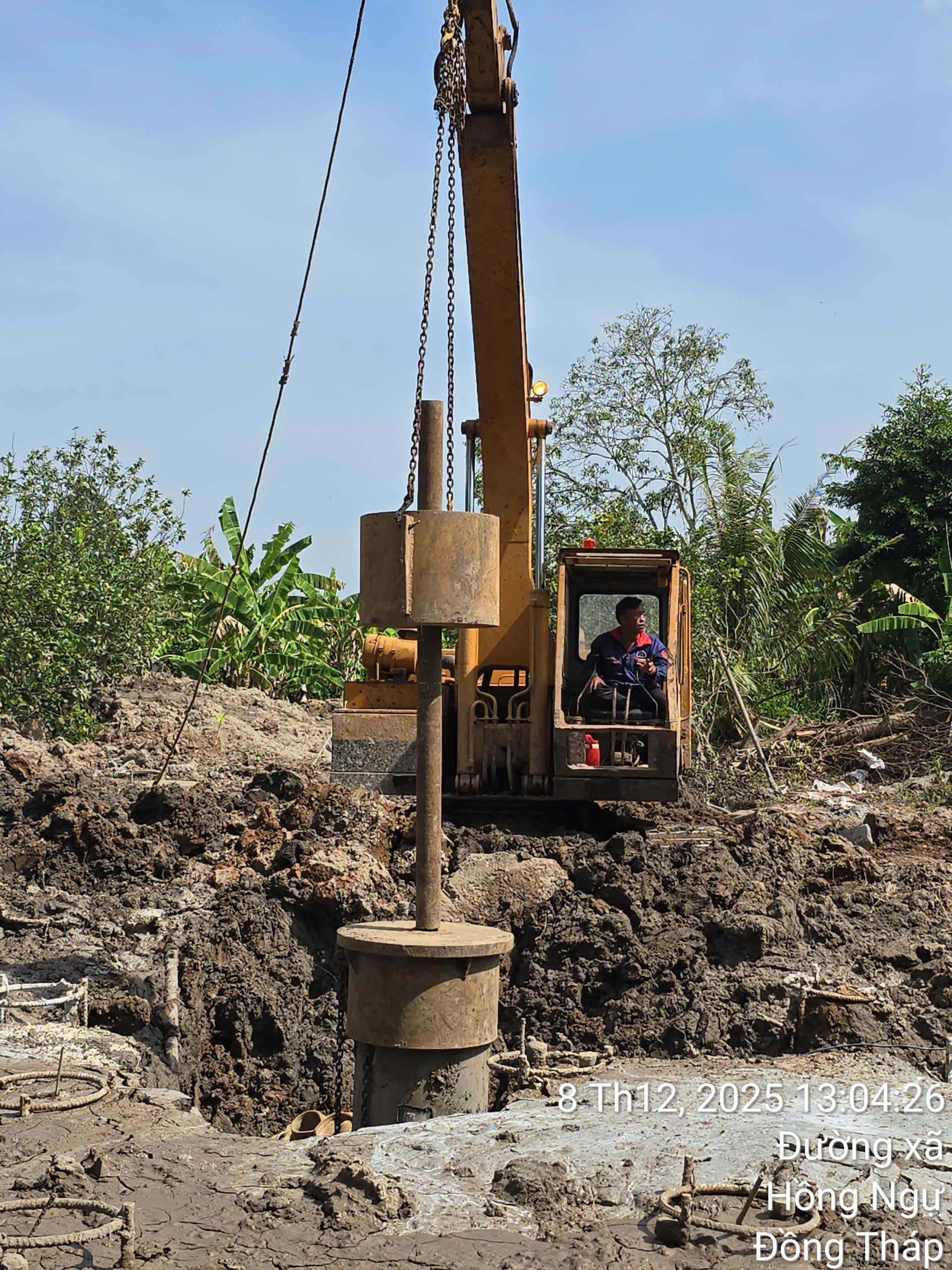 Trang trại bò sữa Vinamilk Quảng Ngãi